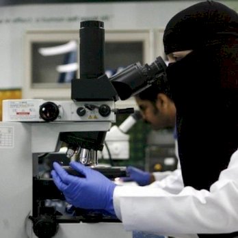 بيلسان الحاج احمد